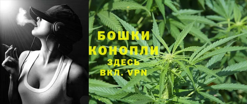 Каннабис SATIVA & INDICA  Астрахань 